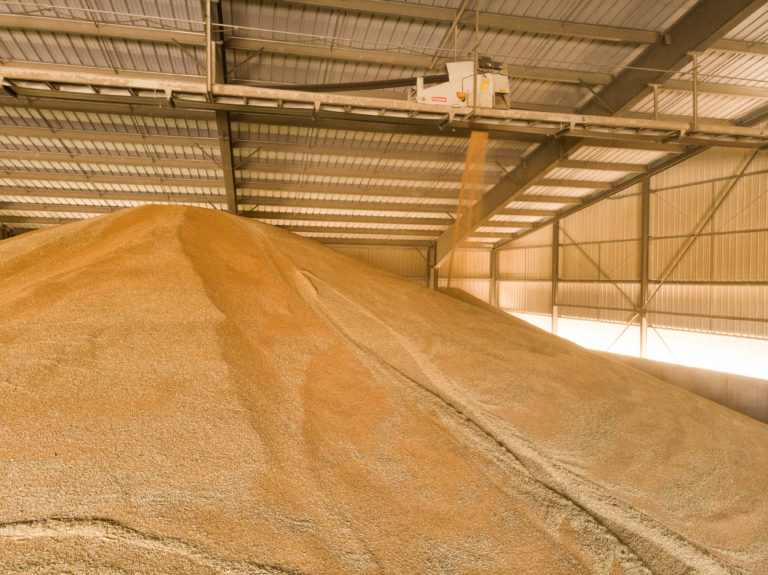 Stockage des grains de blé - activités